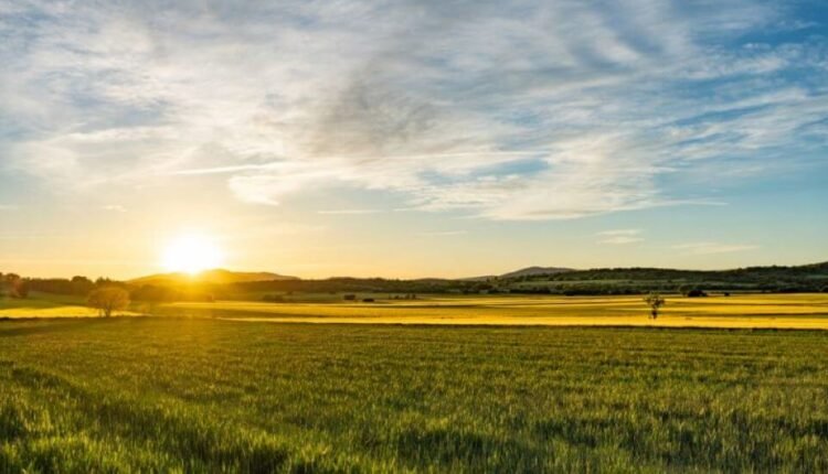 eurostat:-Η-καλλιεργήσιμη-γη-στην-Ελλάδα-από-τις-ακριβότερες-στην-Ευρώπη-για-ενοικίαση