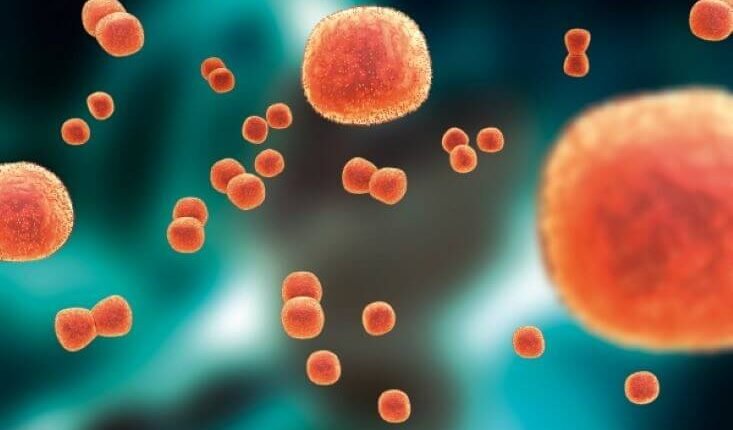 Κρούσματα-μυκητιασικής-μηνιγγίτιδας-σε-ΗΠΑ-και-Μεξικό