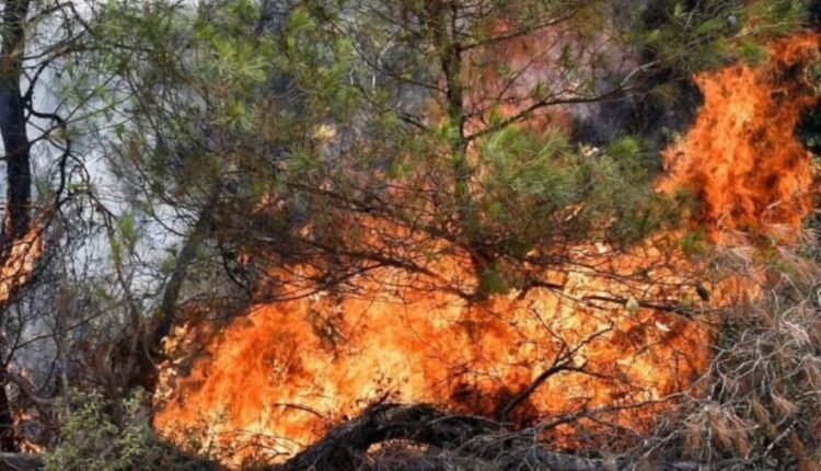 Κάηκαν-πάνω-από-400.000-στρέμματα-μέσα-σε-3-ημέρες…
