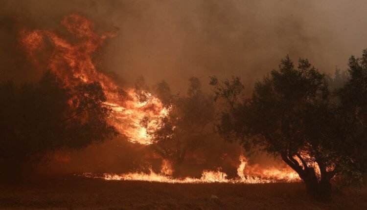 Πώς-θα-προστατεύσουμε-το-αναπνευστικό-μας-σύστημα-από-την-έκθεση-στον-καπνό