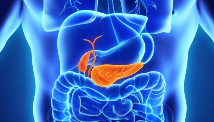 Καρκίνος-παγκρέατος:-Συστατικό-μίμος-επιβραδύνει-τη-νόσο