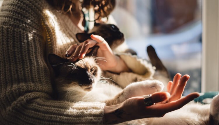 Ποιοί-θέλουν-να-ξεπαστρέψουν-σκυλιά-και-γάτες;-«Είναι-καταστροφή-για-το-κλίμα»!