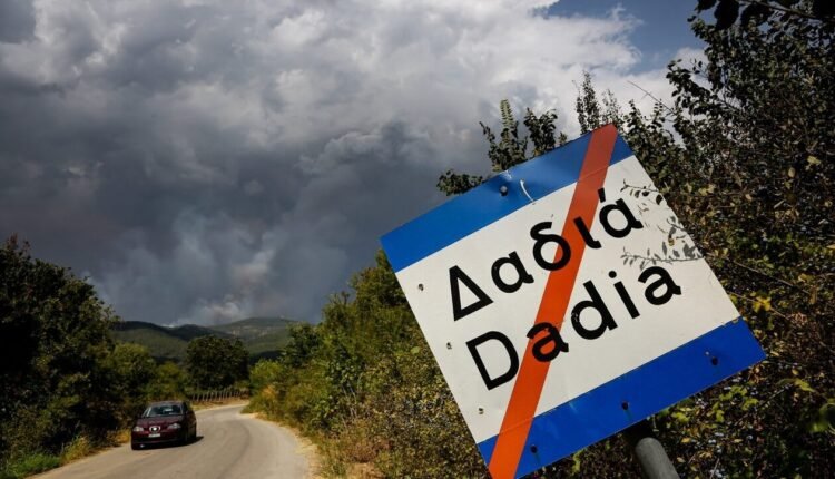 Αντιδρούν-οι-φιλόζωοι-επειδή-επιτράπηκε-τελικά-το-κυνήγι-στο-κατεστραμμένο-δάσος-της-Δαδιάς