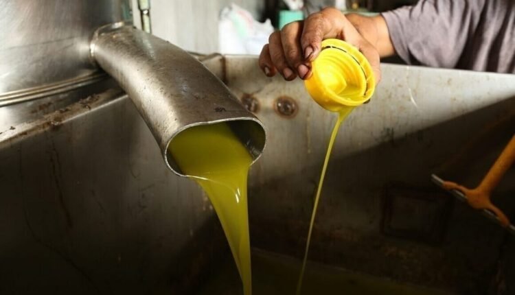 Αλμα-67,4%-στην-τιμή-του-ελαιολάδου-σε-12-μήνες