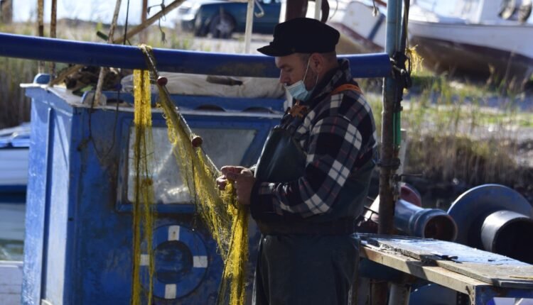 Βόλος:-Πολλαπλά-«χτυπήματα»-για-την-αλιεία-–-Έλλειψη-ναυτεργατών-και-καταγγελίες-για-παράνομες-ελληνοποιήσεις-ψαριών