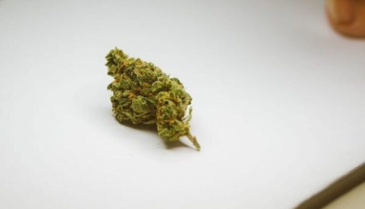 Γερμανία:-Νομιμοποιείται-η-χρήση-κάνναβης-για-ψυχαγωγικούς-σκοπούς-–-Προμήθεια-μόνο-από-λέσχες