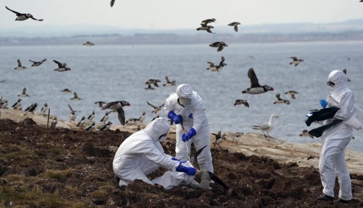 dr.-joseph-mercola:-Πως-θα-προστατευθείς-αν-μετατρέψουν-τη-γρίπη-των-πτηνών-σε-planδημία