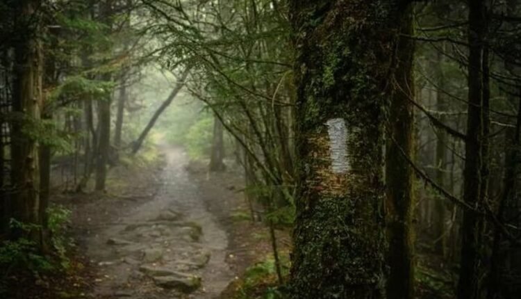 Σοκ-στις-ΗΠΑ:-Κανίβαλοι-απήγαγαν-5-άτομα-–-Φόβοι-πως-τους-κατασπάραξαν