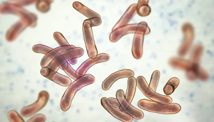 Ξέσπασε-επιδημία-χολέρας-στην-ελεγχόμενη-από-τους-Ουκρανούς-Χερσώνα