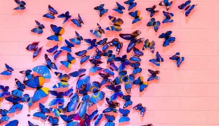 Απίστευτο:-Σμήνος-πεταλούδων-πέταξε-4.200-χιλιόμετρα-πάνω-από-τον-Ατλαντικό-χωρίς-διακοπή