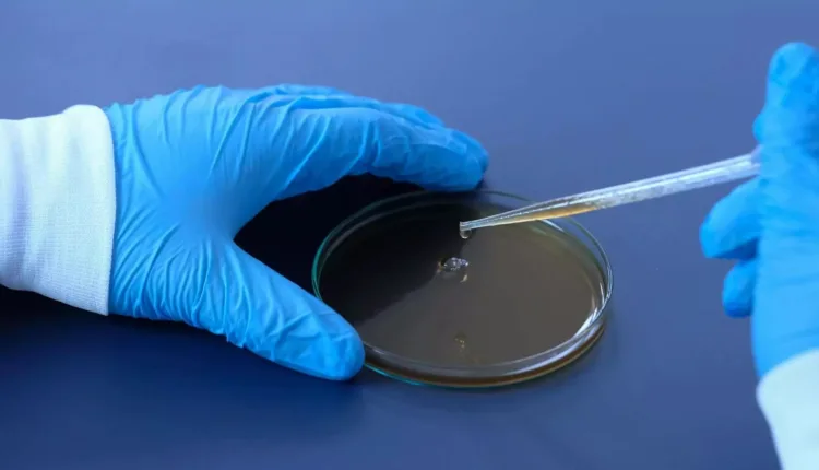 nature-medicine:-Το-εμβόλιο-κατά-του-έρπητα-ζωστήρα-σχετίζεται-με-χαμηλότερο-κίνδυνο-άνοιας