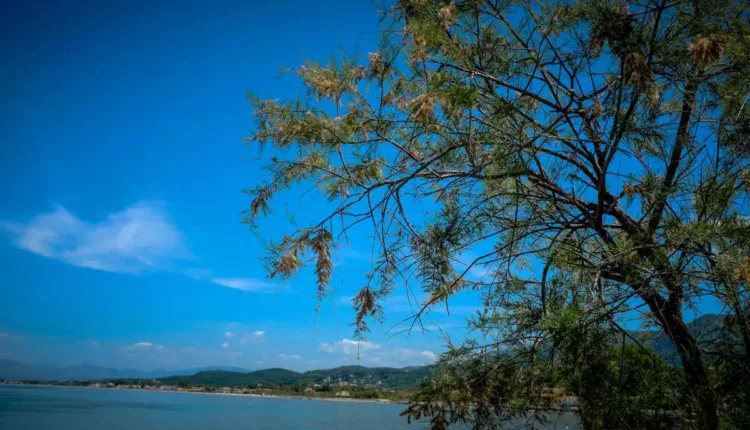 Άρτα:-Πνίγηκε-62χρονος-στην-παραλία-του-Μενιδίου