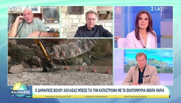 Ξέσπασμα-Μπέου:-«Η-Ελλάδα-βογκάει-και-ασχολείστε-με-τον-γάμο-Κασσελάκη;»