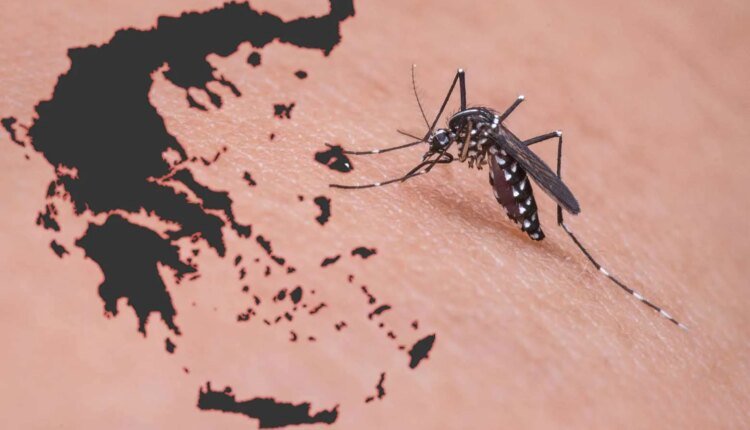 Ιός-του-Δυτικού-Νείλου:-Οκτώ-θάνατοι-και-22-κρούσματα-την-τελευταία-εβδομάδα