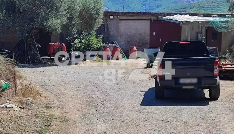 Ρέθυμνο:-Νέα-στοιχεία-για-τη-δολοφονική-επίθεση-στον-69χρονο-κτηνοτρόφο