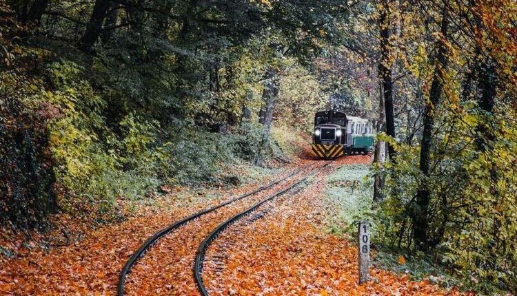 Ιταλία:-Τεχνική-βλάβη-στους-σιδηροδρομικούς-σταθμούς-της-Ρώμης-–-Ακυρώθηκαν-πάνω-από-εκατό-δρομολόγια