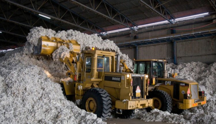 Λάρισα:-Τραγικός-θάνατος-25χρονης-που-εγκλωβίστηκε-σε-μηχάνημα-σε-εκκοκκιστήριο