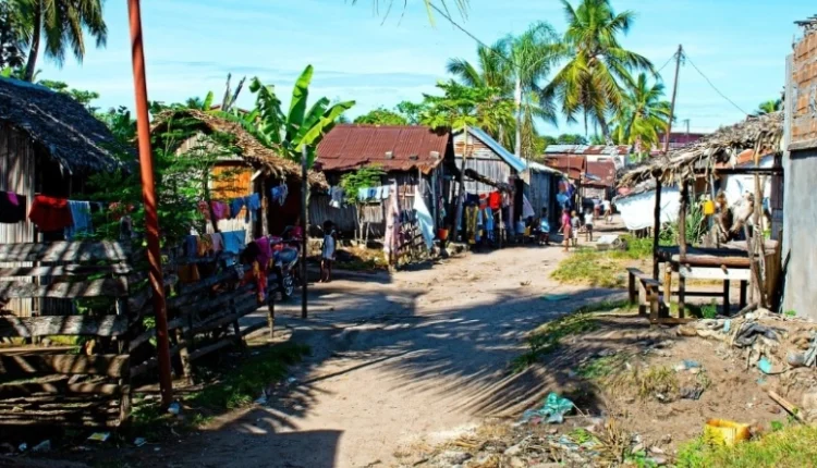 ΟΗΕ:-Εκατομμύρια-άνθρωποι-στη-νότια-Αφρική-είναι-αντιμέτωποι-με-λιμό-λόγω-της-πρωτοφανούς-ξηρασία