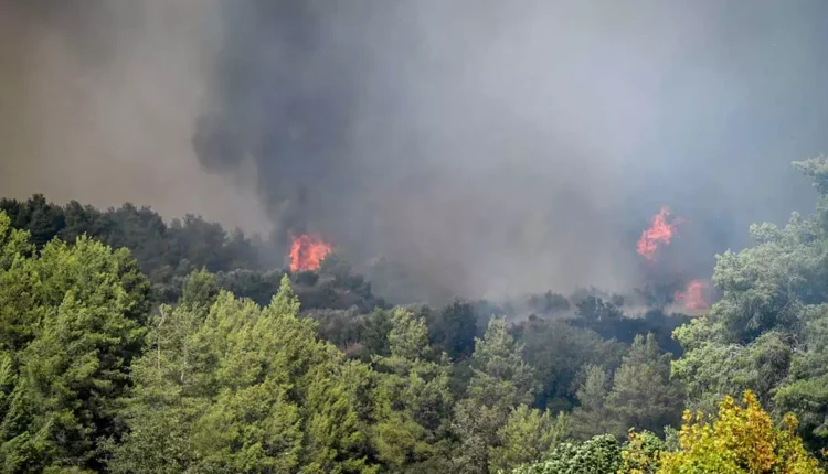 Ξεπέρασαν-τα-11-εκατ.-ευρώ-οι-αποζημιώσεις-των-ασφαλιστικών-για-τις-πυρκαγιές-του-Αυγούστου