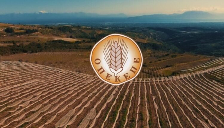 ΟΠΕΚΕΠΕ:-Ξεκινούν-οι-πληρωμές-για-το-70%-της-βασικής-ενίσχυσης-του-2024