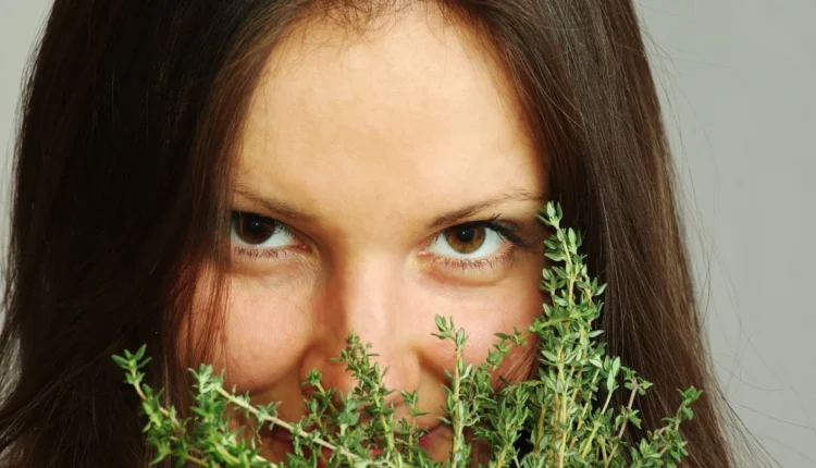 Διατροφή:-Θυμάρι-–-Οφέλη-και-παρενέργειες…(6:15-Α’-πρωϊνή-Ζώνη-6:00-–-6:30)