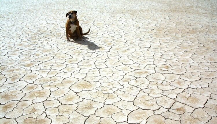 Περιβαλλοντικά-Νέα:-unicef:-Ακραία-ξηρασία-πλήττει-πάνω-από-420.000-παιδιά-στον-Αμαζόνιο…(6:50-–-Β’-πρωϊνή-Ζώνη-6:45-7:00)