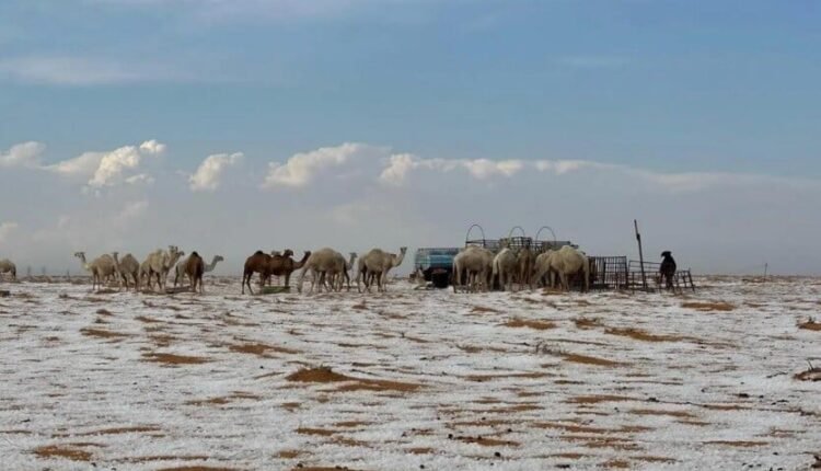 Περιβαλλοντικά-Νέα:-Χιόνισε-στην-έρημο-της-Σαουδικής-Αραβίας-για-πρώτη-φορά-στην-ιστορία…(6:50-–-Β’-πρωϊνή-Ζώνη-6:45-7:00)
