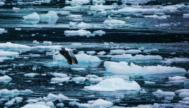 Περιβαλλοντικά-Νέα:-Από-το-1700-μέχρι-σήμερα-η-ανθρωπότητα-έχει-θερμάνει-τον-πλανήτη-κατά-1,5°c…(6:55-–-Β’-πρωϊνή-Ζώνη-6:45-7:15)