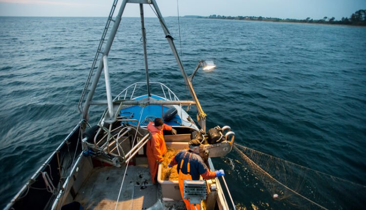 Σαμποτάζ-στη-Βαλτική:-Ενδείξεις-για-κινεζική-εμπλοκή