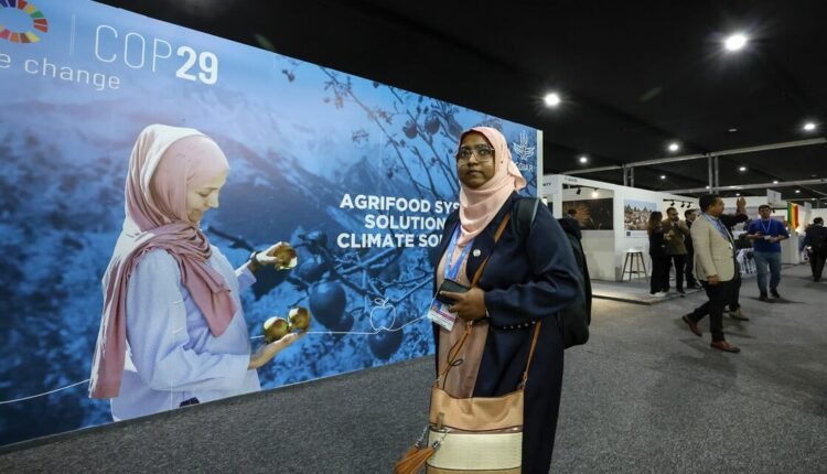 Περιβαλλοντικά-Νέα:-cop29-για-το-κλίμα-–-Μόνο-$250-δισ-από-το-1,3-τρισ.-που-απαιτούνται,-συμφώνησαν-να-δίνουν-οι-πλούσιες-χώρες-στις-φτωχές-(6:55-–-Β’-πρωϊνή-Ζώνη-6:45-7:15)