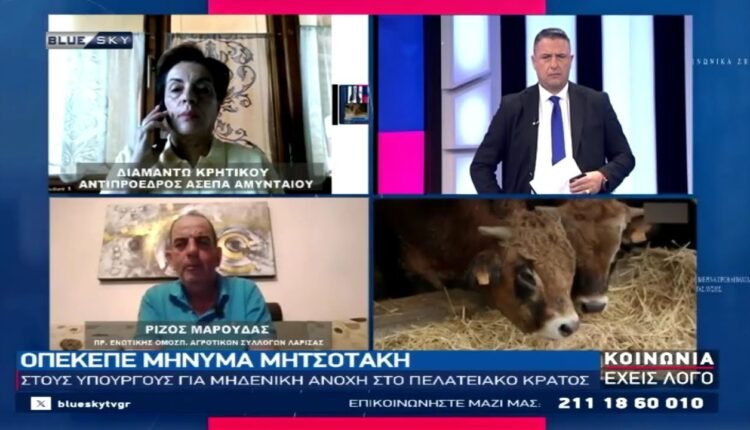 h-Δ.-Κρητικού-και-ο-Ρίζος-Μαρούδας-στο-bluesky-για-την-υπόθεση-του-ΟΠΕΚΕΠΕ