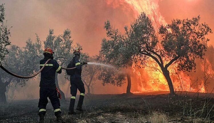 Πυρκαγιές-σε-εξέλιξη-σε-Ζάκυνθο,-Αιτωλοακαρνανία,-Κεφαλονιά,-Φωκίδα,-Άρτα-και-Πρέβεζα