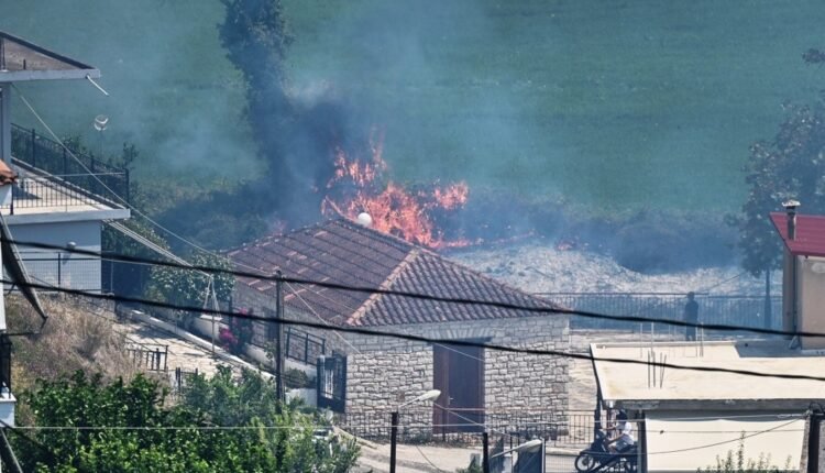 Πυρκαγιά-Πρέβεζα:-Σε-κατάσταση-έκτακτης-ανάγκης-ο-δήμος-Ζηρού-–-Εικόνες-καταστροφής