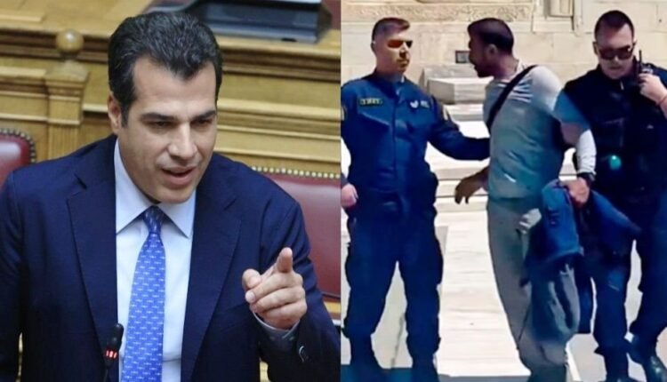 Θ.-Πλεύρης:-Καμία-ανοχή-στον-λαθρομετανάστη-που-προσέβαλε-τους-Εύζωνες