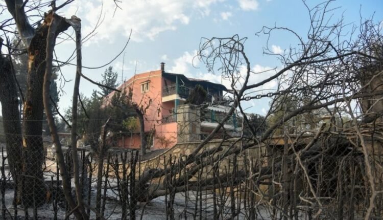 Πυρκαγιές:-Ολοκληρώθηκαν-οι-αυτοψίες-σε-Αχαΐα,-Πρέβεζα,-Άρτα,-Ζάκυνθο