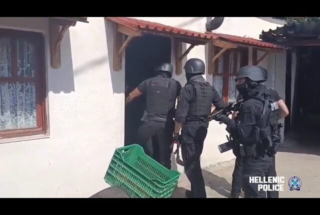 Συνελήφθη-62χρονος-για-παράνομη-υλοτομία-κακουργηματικού-χαρακτήρα