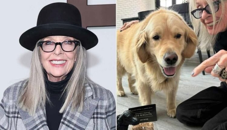 Η-viral-διαθήκη-της-diane-keaton