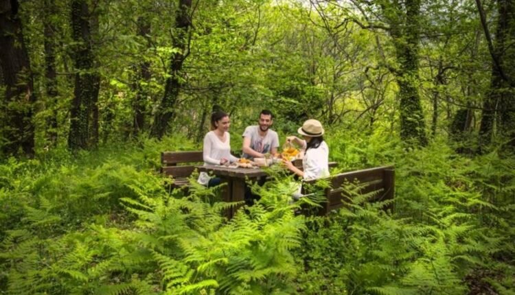 Ποιες-χώρες-έχουν-τη-μεγαλύτερη-σύνδεση-με-τη-φύση