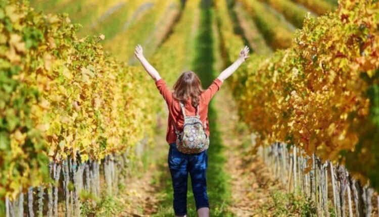 Πώς-διαμορφώνεται-ο-οινοτουρισμός-παγκοσμίως