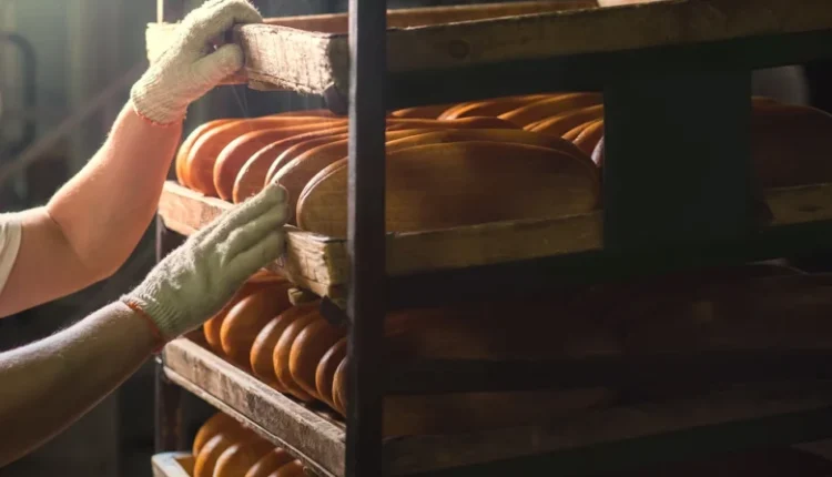 Αρτοποιοί:-Να-παραταθεί-η-προθεσμία-απογραφής-στο-σύστημα-«openbusiness»